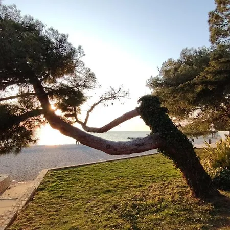 Marla Апартаменты *