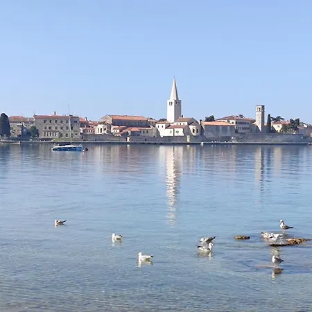 Marla Poreč